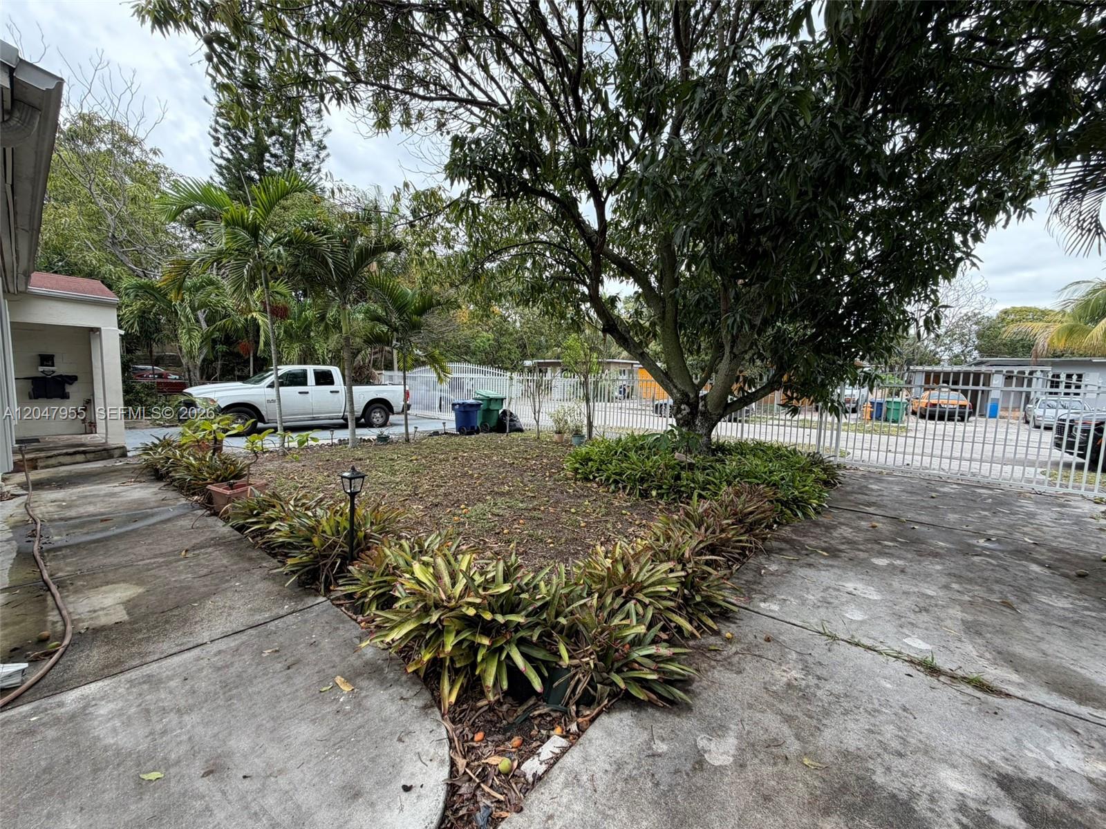 A concrete driveway leads to a yard with a large tree and bromeliad landscaping — 596 NW 109th St, Miami FL 33168, MIAMI, FL