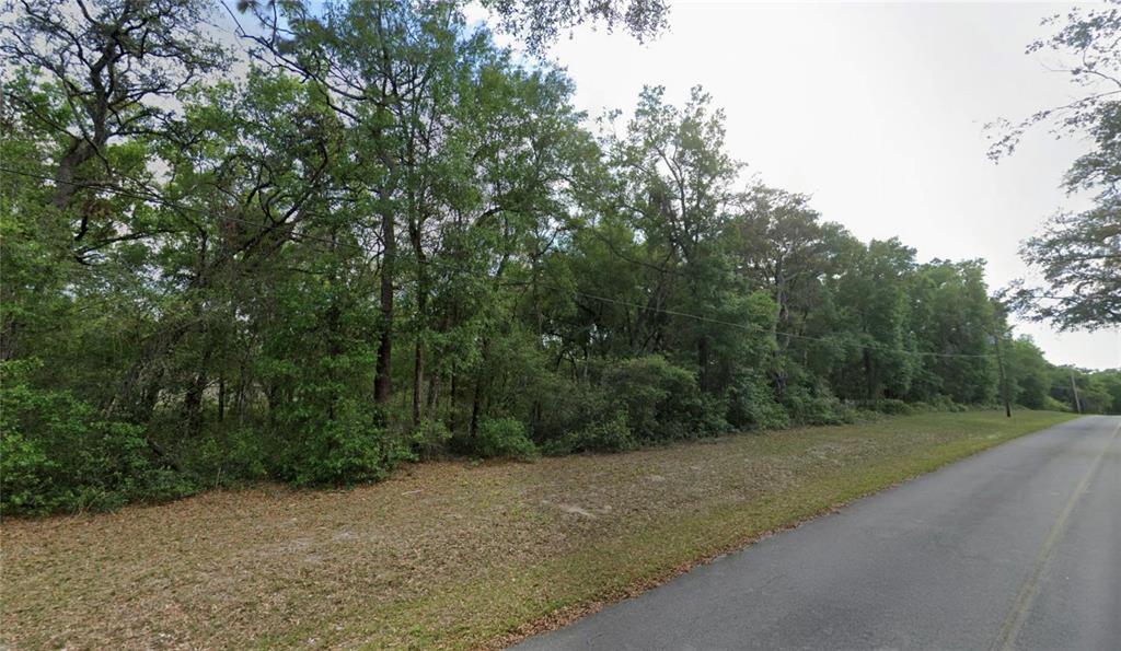 A paved road runs alongside a wooded lot with dense trees and brush — TBD SE 59TH STREET, OCKLAWAHA, FL