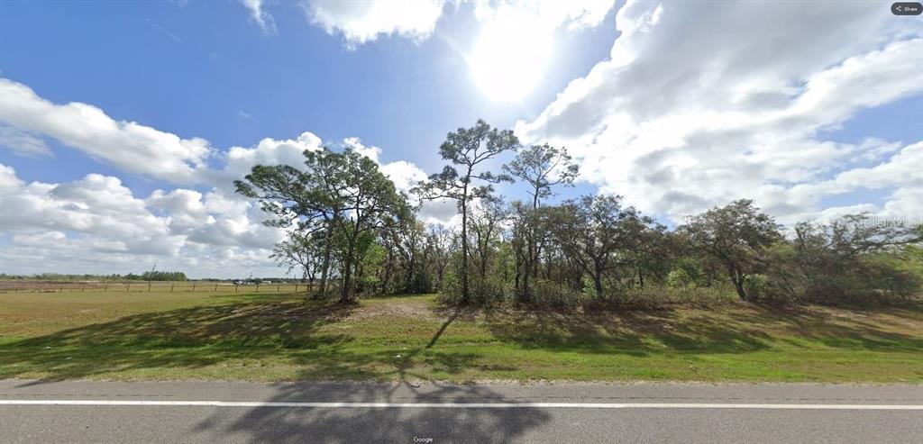 A grassy roadside lot features a cluster of trees under a bright, cloudy sky — COMMONWEALTH AVE N, POLK CITY, FL