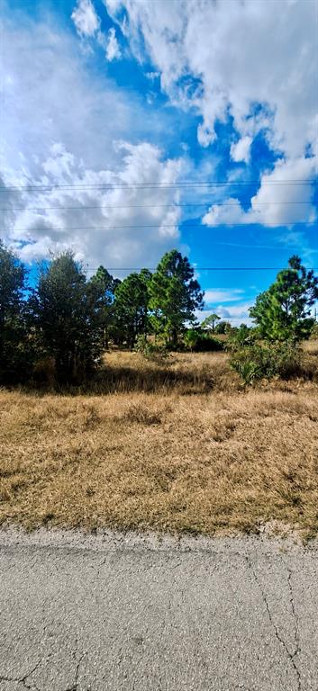 A view of a vacant, grassy lot with scattered trees under a blue, cloudy sky — 856 EISENHOWER BOULEVARD, LEHIGH ACRES, FL