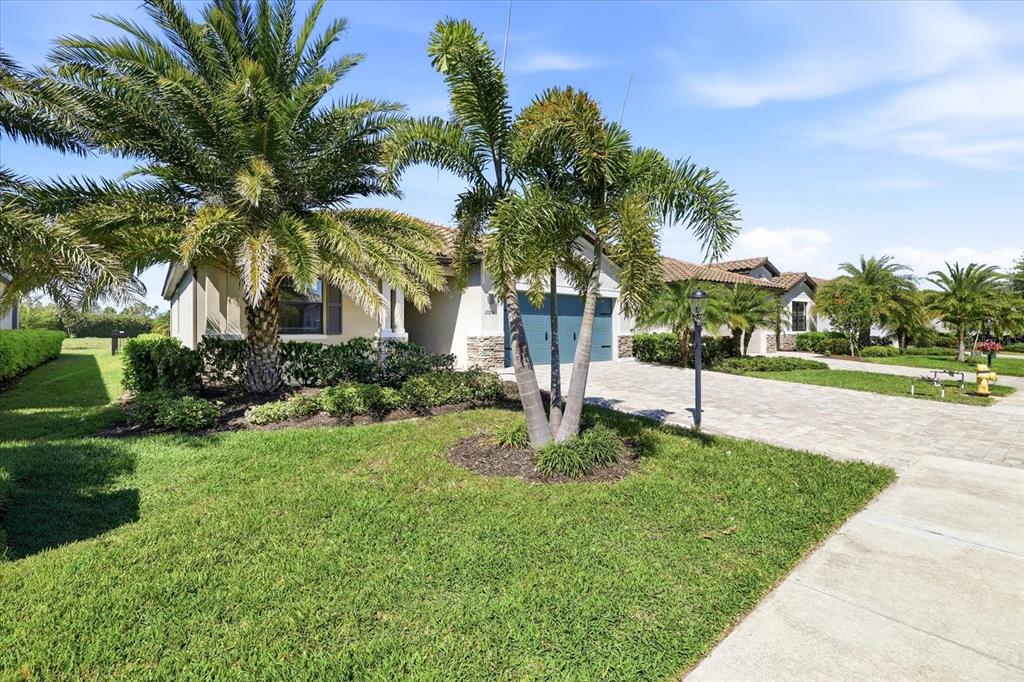 A single-story house with a paved driveway, palm trees, and a green lawn — 17234 BLUE RIDGE PLACE, BRADENTON, FL