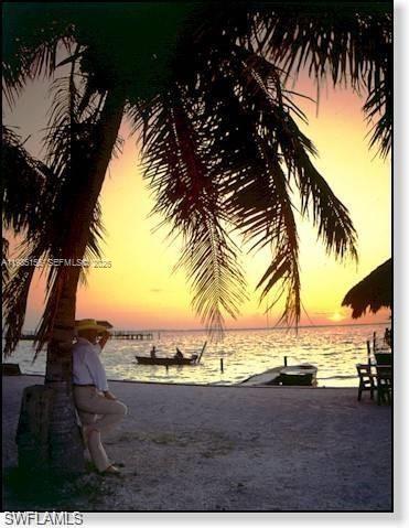 A person wearing a hat leans against a palm tree on a beach at sunset — 1110 Artic St E, Lehigh Acres FL 33974, LEHIGH ACRES, FL