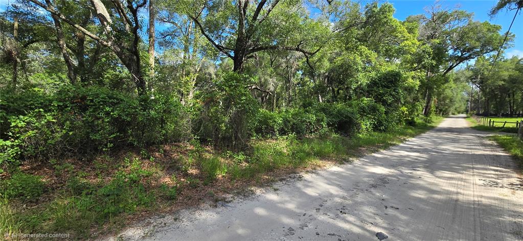 A dirt road runs alongside a wooded lot with dense vegetation and mature trees — 15621 DAYBREEZE DRIVE, SPRING HILL, FL