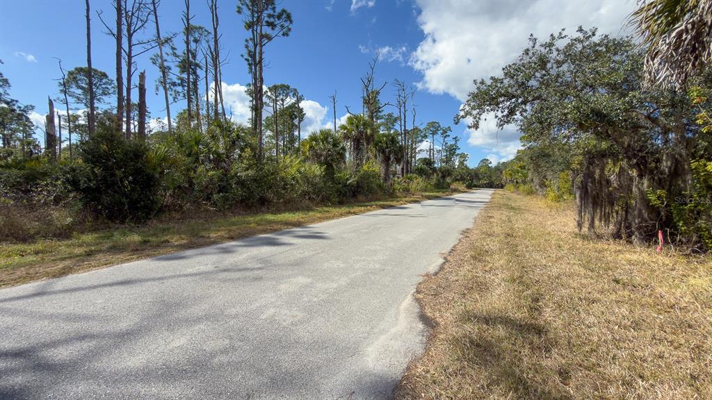A paved road winds through a wooded area with tall pine trees and palmettos — 13345 HARTH AVENUE, PORT CHARLOTTE, FL