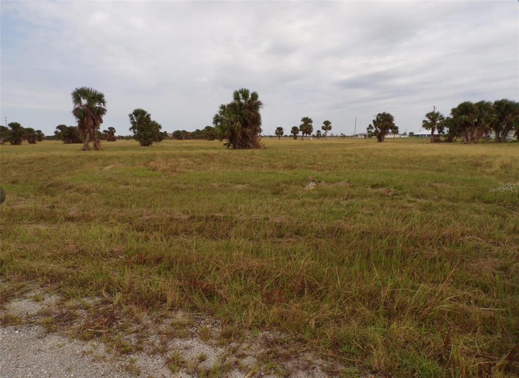 A flat, grassy vacant lot features scattered palm trees under a cloudy sky — 18 GULL COURT, PLACIDA, FL