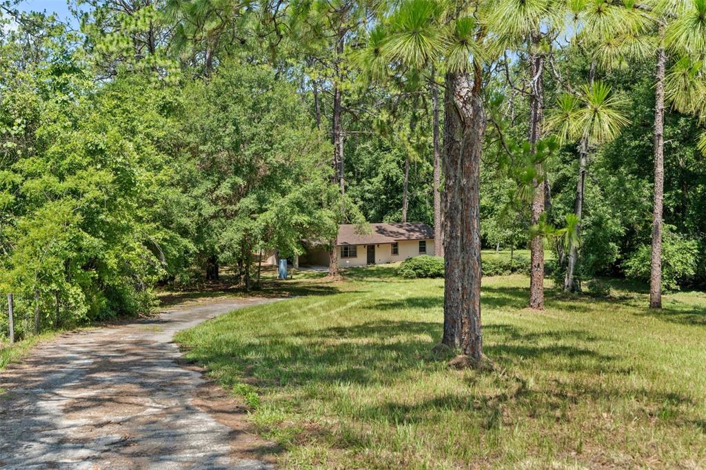 A single-story house sits at the end of a long driveway surrounded by pine trees — 22897 COUNTY ROAD 137, LAKE CITY, FL