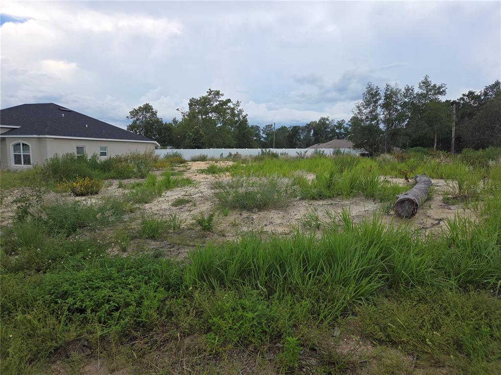 A vacant, sandy residential lot with tall grass and a fallen log near a house — Lot 32 SPRUCE PASS, OCALA, FL