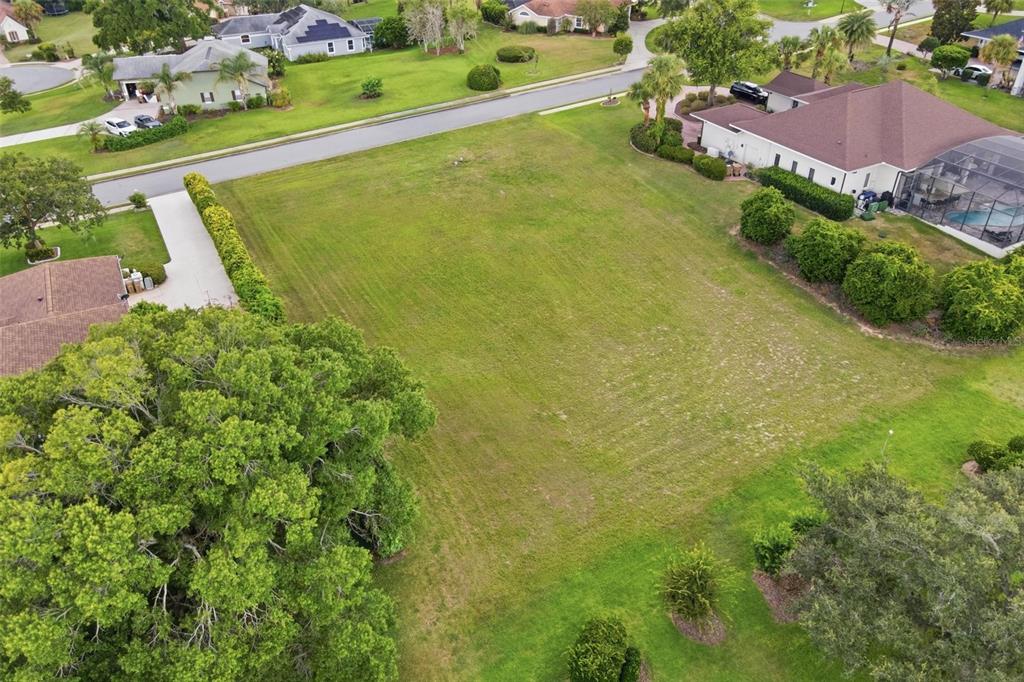 A large, grassy vacant lot is surrounded by mature trees and neighboring residential houses — TACOMA DRIVE, LADY LAKE, FL