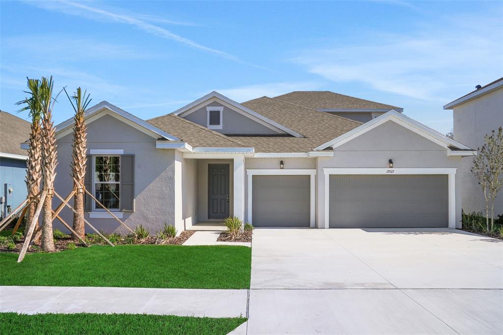 A single-story house with a gray stucco exterior, two garage doors, and two palm trees — 17527 VALLEYWOOD PARKWAY, LAND O LAKES, FL