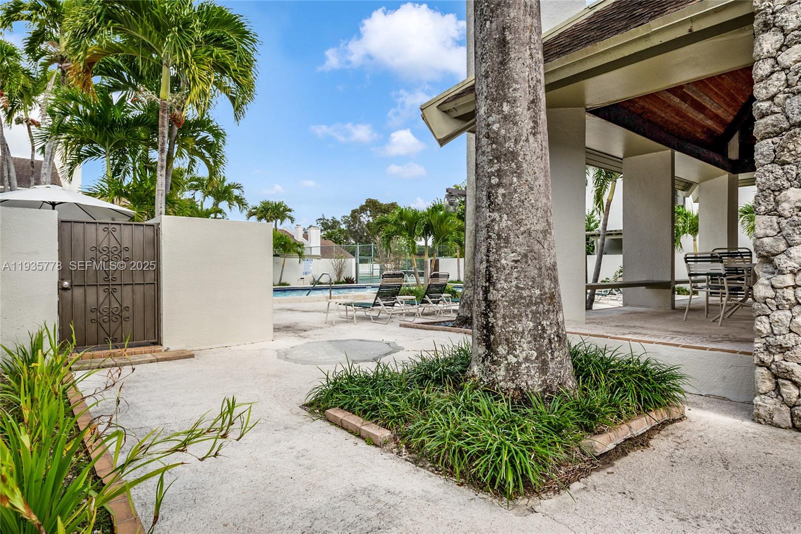 A palm tree stands in a landscaped bed near a patio with lounge chairs and pool — 7075 SW 67th Ave # 14, South Miami FL 33143, SOUTH MIAMI, FL