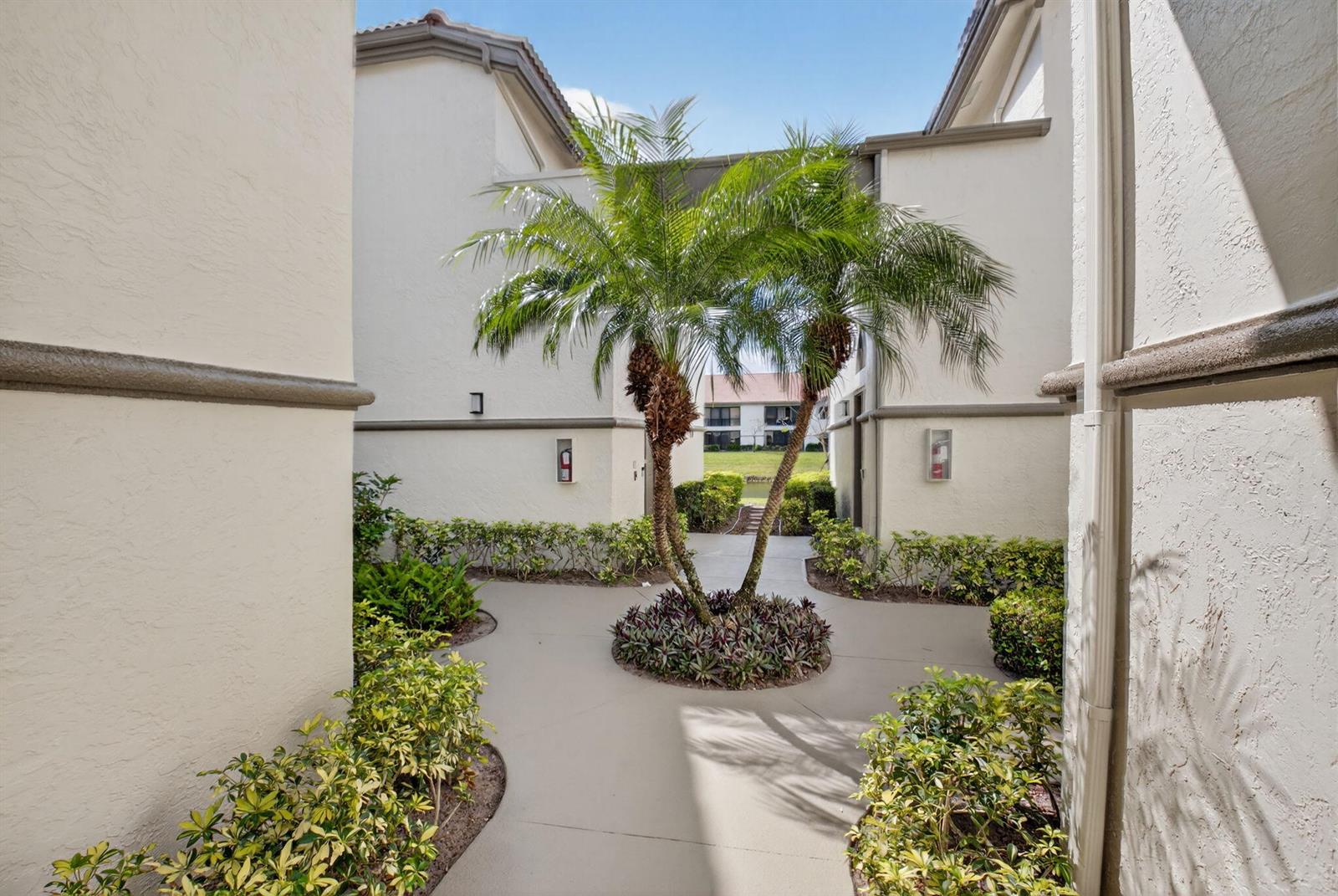 A palm tree stands in a landscaped courtyard between two beige residential buildings — 5226 Europa Drive # H, Boynton Beach FL 33437, BOYNTON BEACH, FL