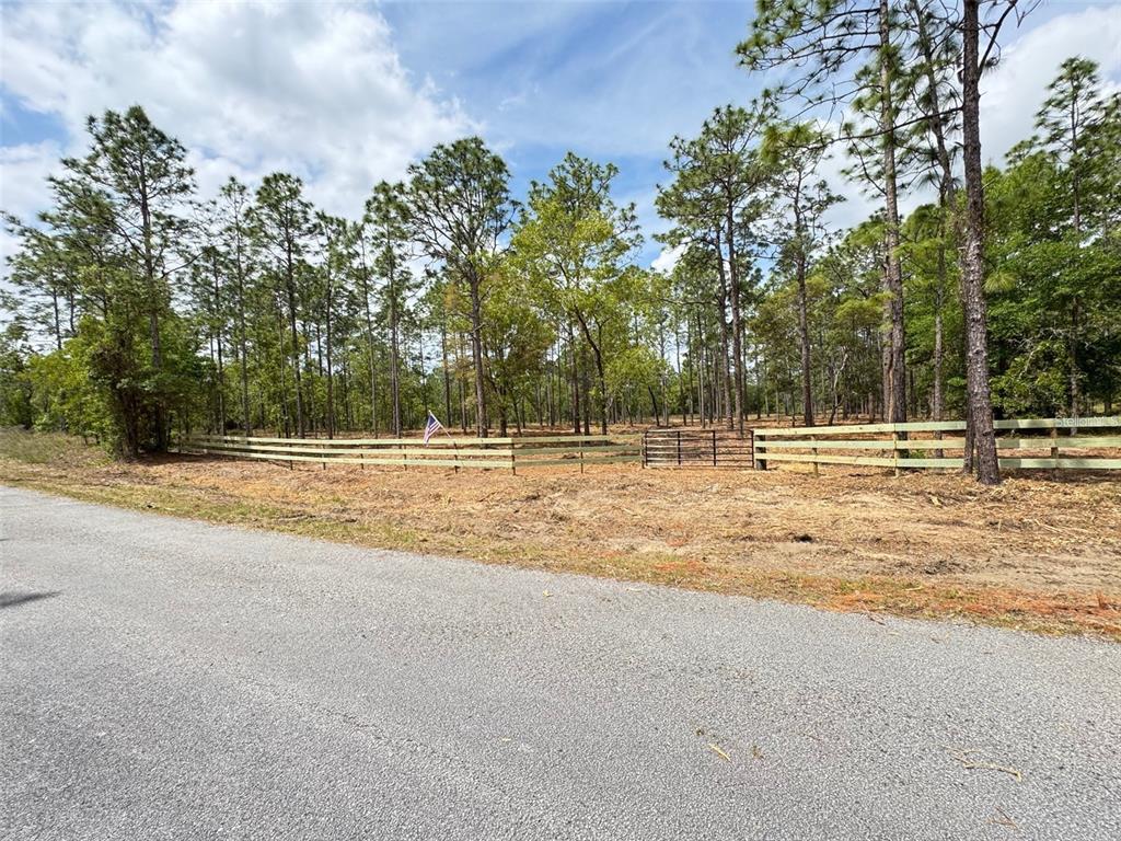 A fenced, wooded lot sits adjacent to an asphalt road under a blue sky — SW DEERPARK HEIGHTS ROAD, DUNNELLON, FL