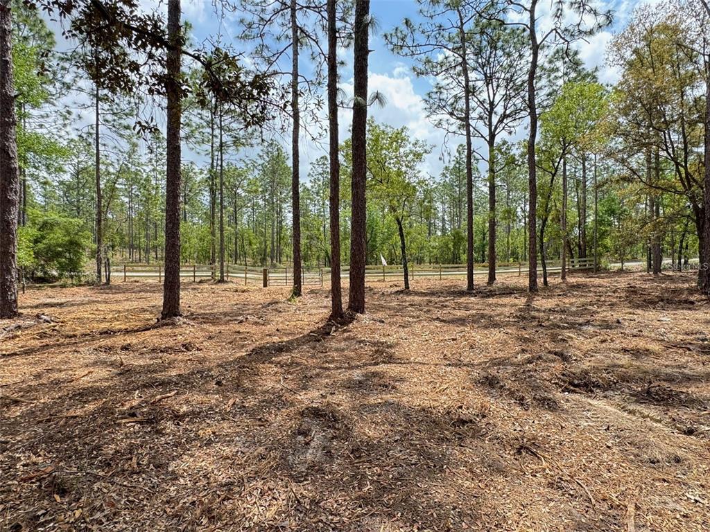 A cleared, wooded lot features tall pine trees and a wooden fence in the background — SW DEERPARK HEIGHTS ROAD, DUNNELLON, FL