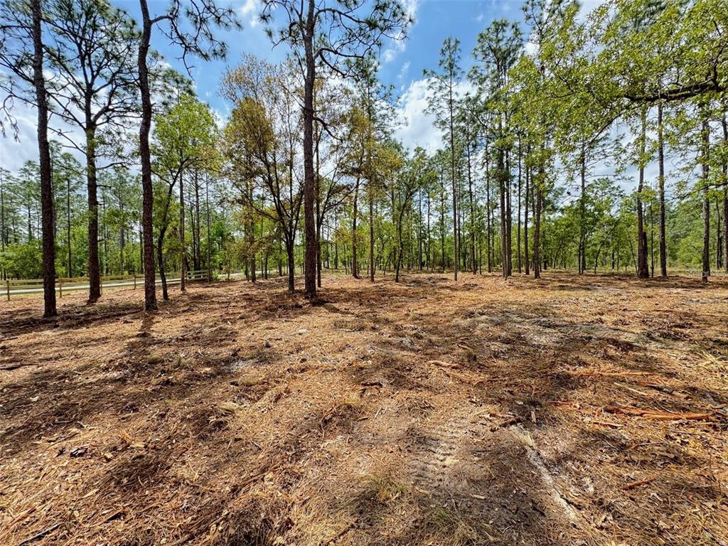 A wooded lot with cleared ground and a wooden fence in the background — SW DEERPARK HEIGHTS ROAD, DUNNELLON, FL