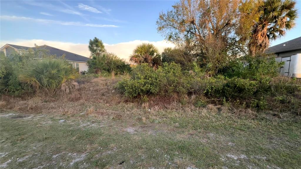 A vacant, overgrown residential lot with various trees and shrubs sits between two houses — 9172 AGATE STREET, PORT CHARLOTTE, FL