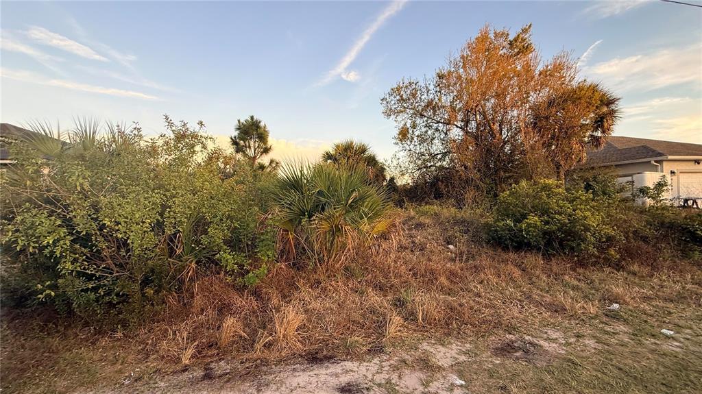 A vacant, overgrown residential lot with various shrubs, palm trees, and nearby houses — 9172 AGATE STREET, PORT CHARLOTTE, FL