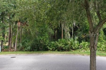 A paved cul-de-sac borders a densely wooded lot with various trees and shrubs — 165 WILLOW OAK WAY, PALM COAST, FL
