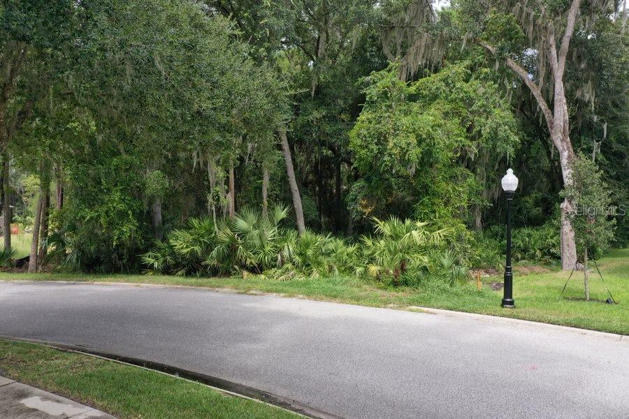 A paved road curves in front of a wooded lot with dense trees and vegetation — 165 WILLOW OAK WAY, PALM COAST, FL