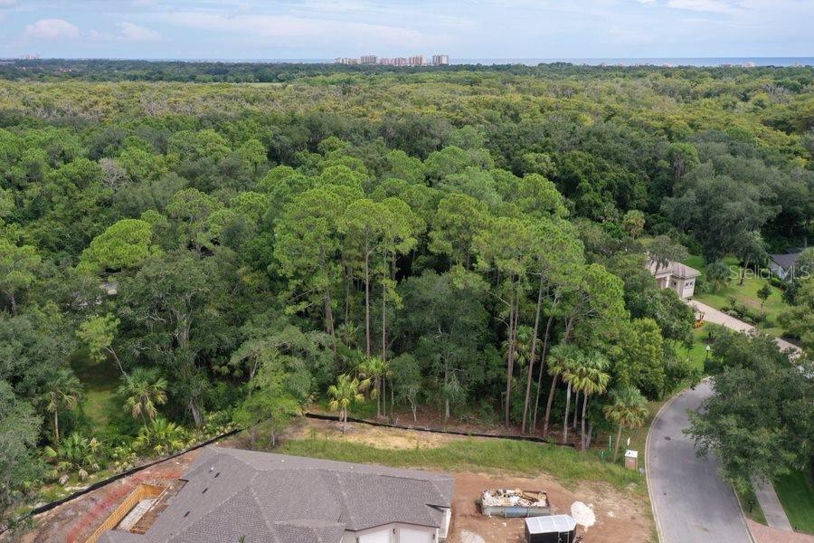 An aerial view shows a wooded lot behind a house under construction near a road — 165 WILLOW OAK WAY, PALM COAST, FL