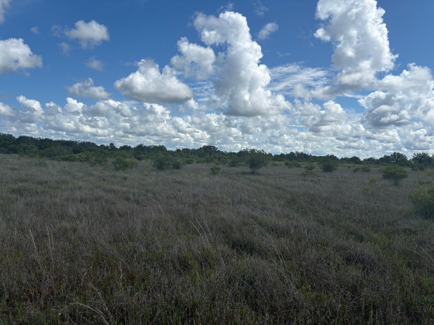 A vast, grassy field under a bright blue sky with scattered white clouds — 0 290th Street, Okeechobee FL 34972, OKEECHOBEE, FL