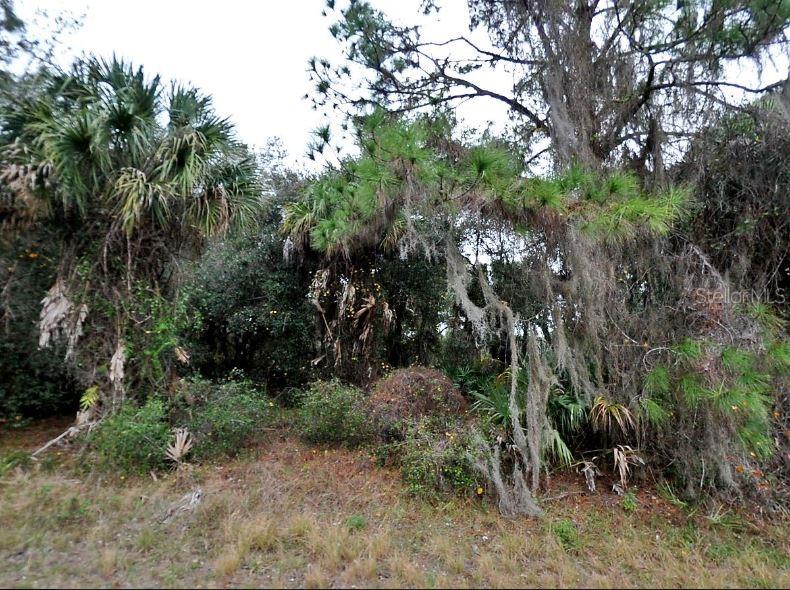 CONSTITUTION DRIVE, NORTH PORT, FL — photo 2 of 4