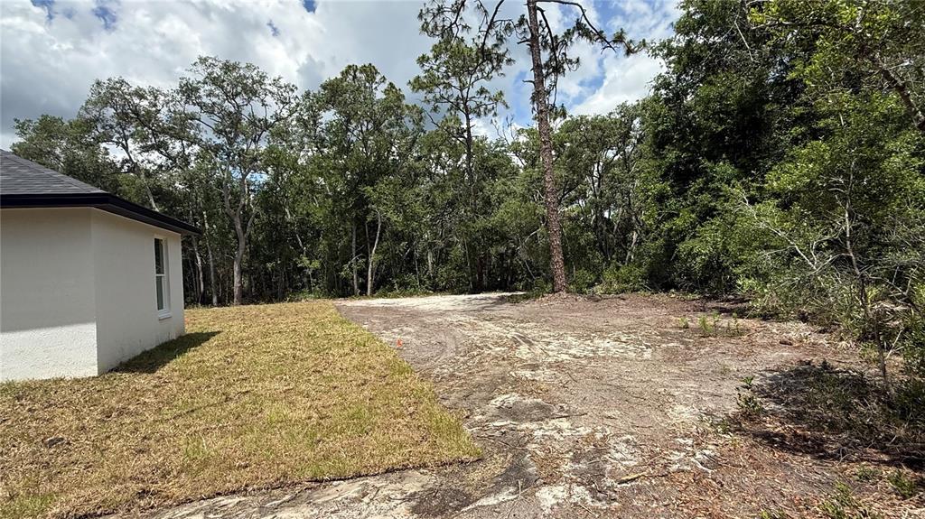 A side view of a house exterior next to a cleared, sandy lot with trees — 35031 PRIMROSE LANE, WEBSTER, FL