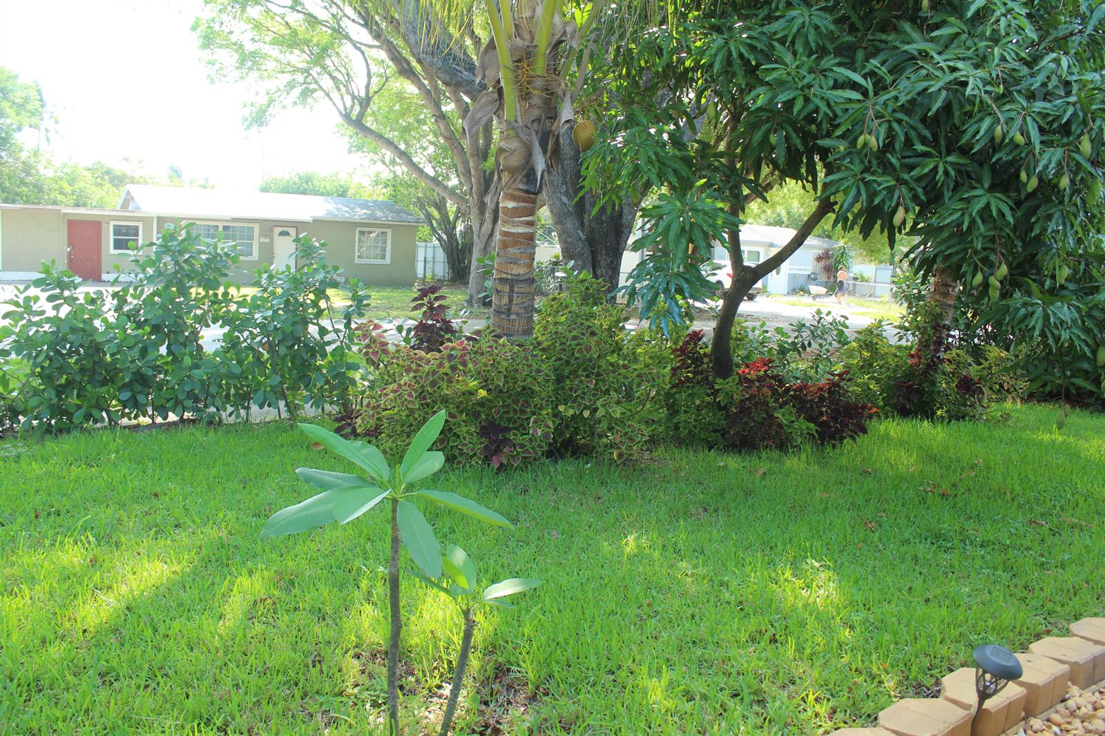A grassy front yard features a palm tree, a mango tree, and various ornamental shrubs — 431 S Chillingworth Drive, West Palm Beach FL 33409, WEST PALM BEACH, FL