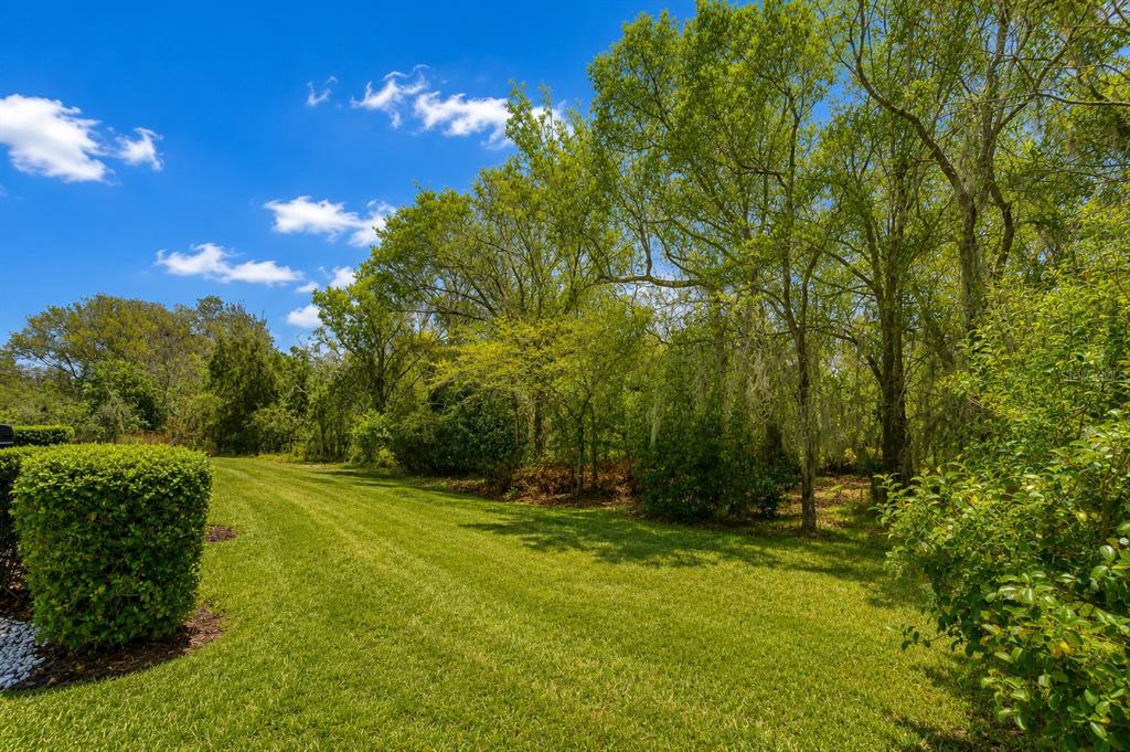 A manicured lawn leads to a dense line of trees under a bright blue sky — 16158 AMETHYST KEY DRIVE, WIMAUMA, FL