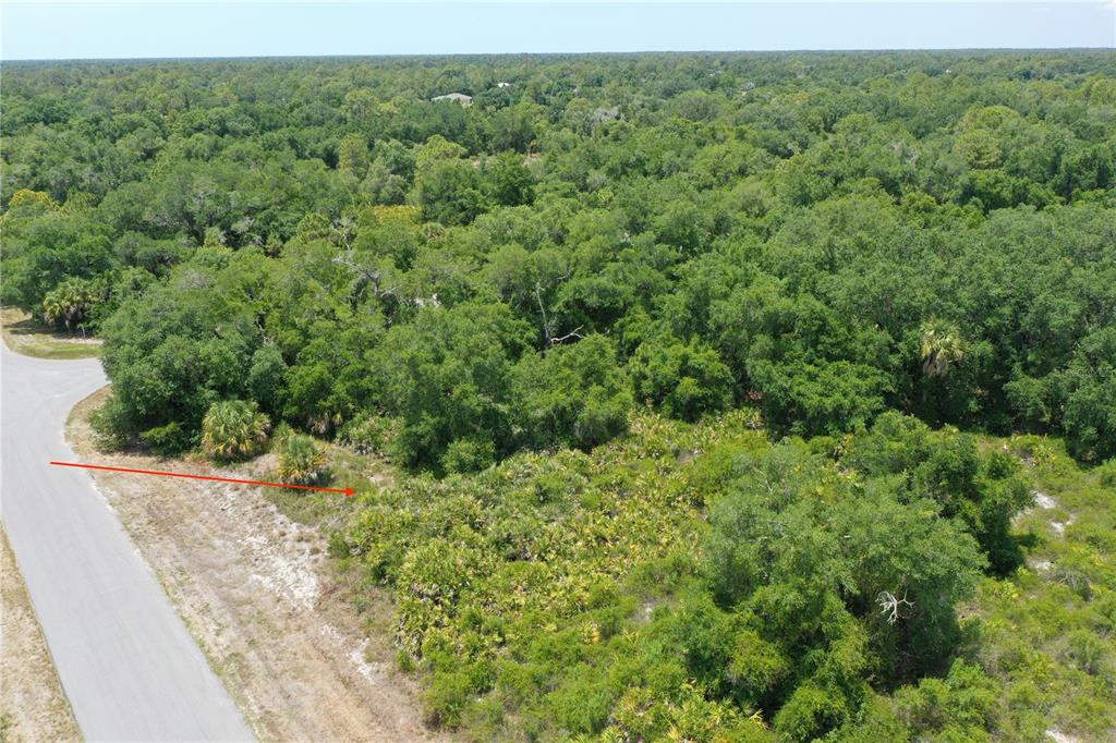 An aerial view shows a paved road bordering a dense, wooded lot with native vegetation — Lot 10 BRIXTON TERRACE, NORTH PORT, FL