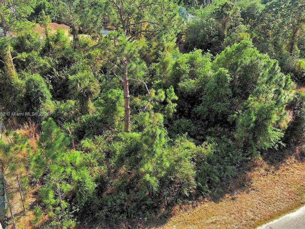An aerial view shows a densely wooded, undeveloped plot of land with various trees — 2500 E 9TH STREET, LEHIGH ACRES, FL
