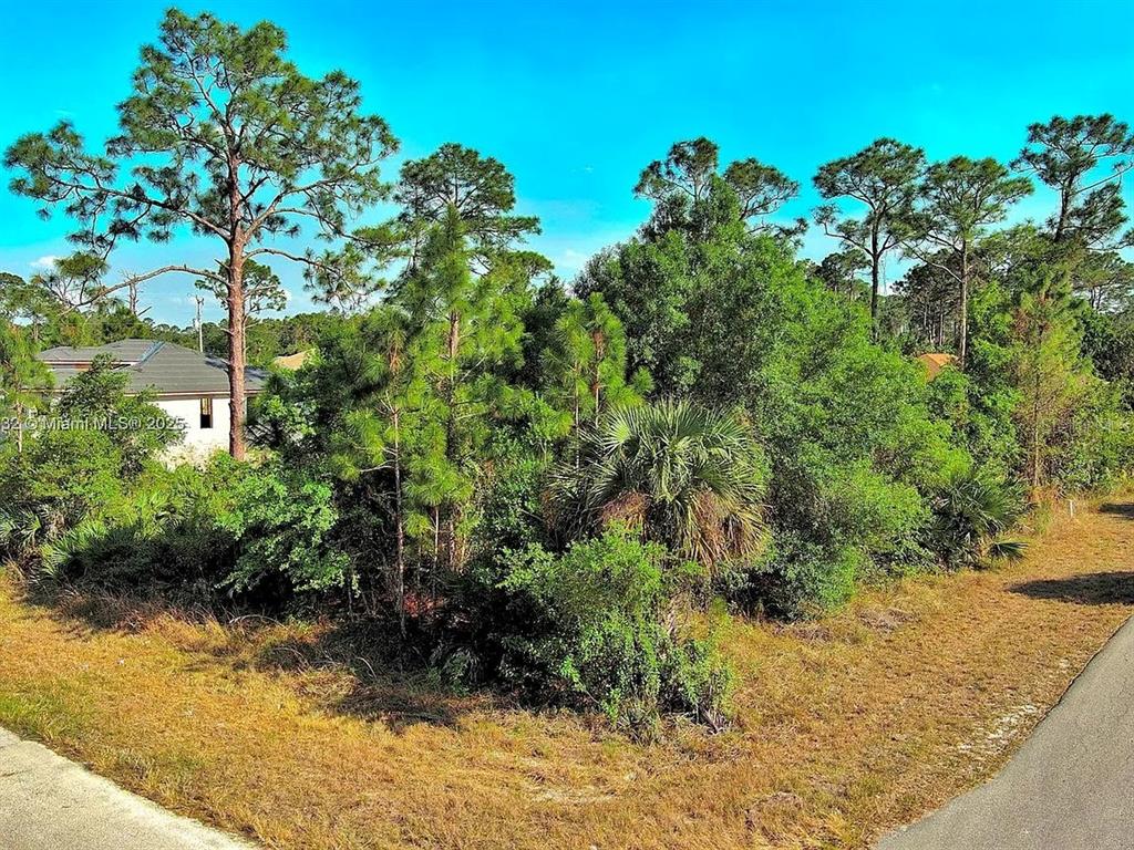 A vacant, wooded residential lot sits at the corner of a paved street — 2500 E 9TH STREET, LEHIGH ACRES, FL