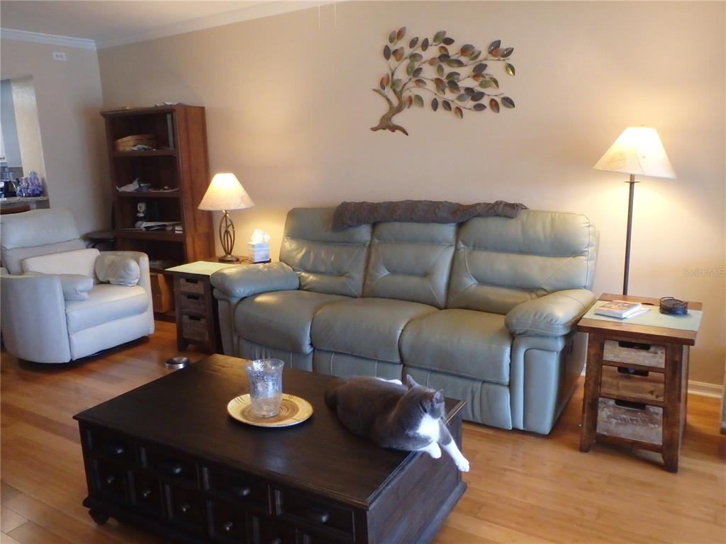 A living room features a light green leather sofa, a dark wood coffee table, and a cat — 11644 SW EGRET CIRCLE UNIT 902, LAKE SUZY, FL