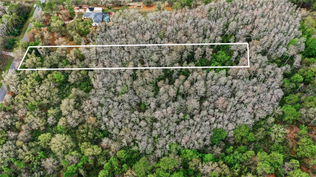 An aerial view shows a rectangular plot of land outlined in white amidst dense woods — QUINLAN STREET, ORLANDO, FL