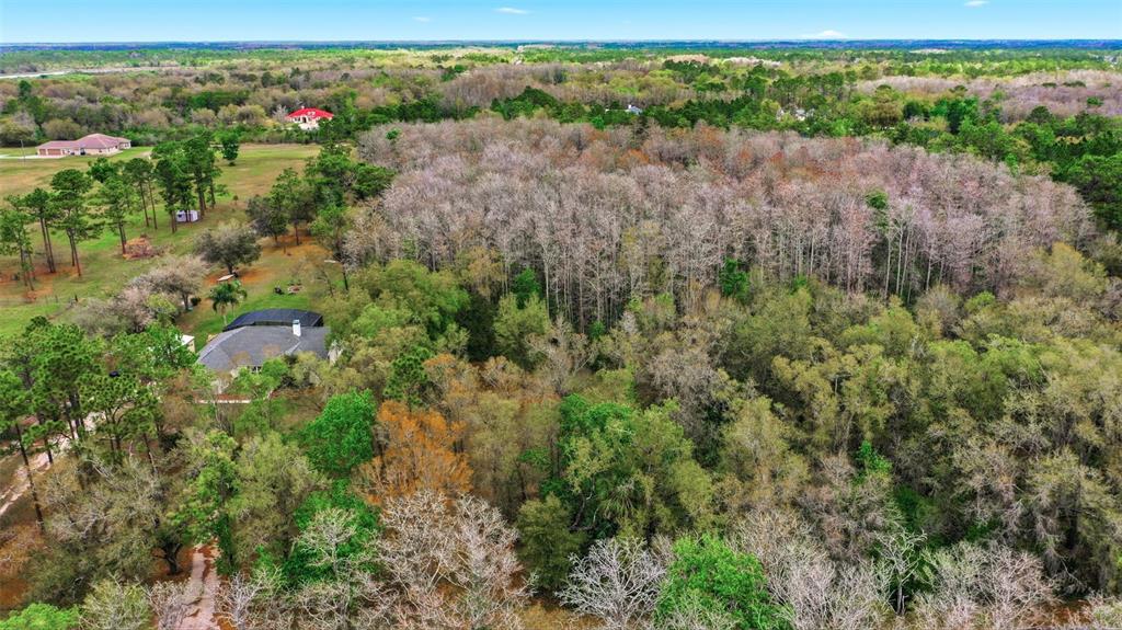 An aerial view shows a house surrounded by a large wooded area and open fields — QUINLAN STREET, ORLANDO, FL
