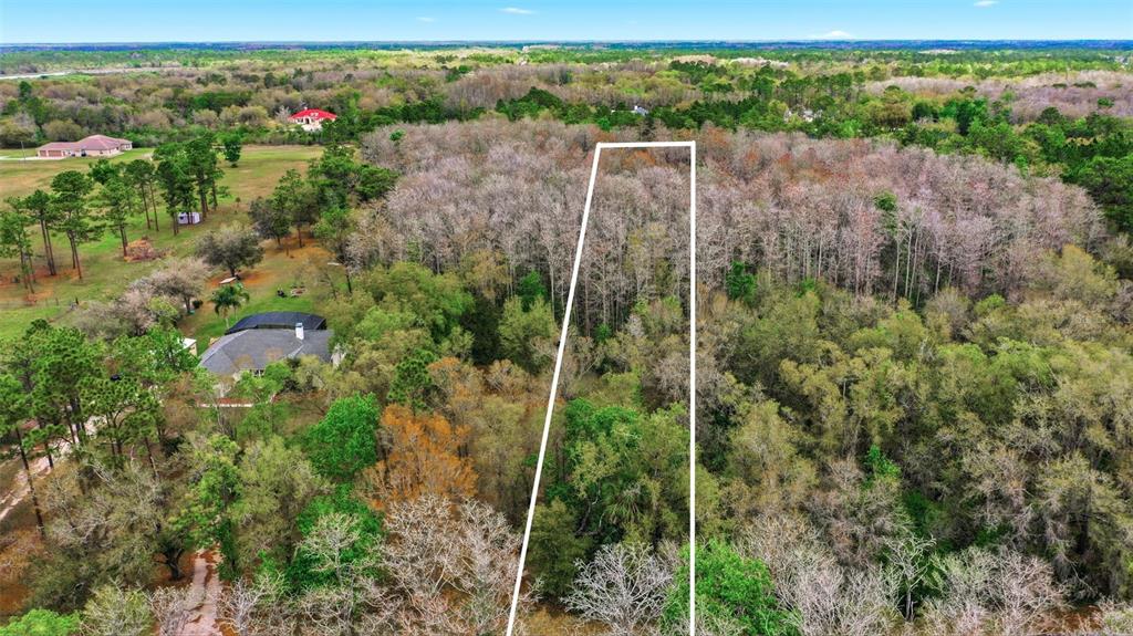 An aerial view shows a wooded lot outlined in white next to a residential property — QUINLAN STREET, ORLANDO, FL