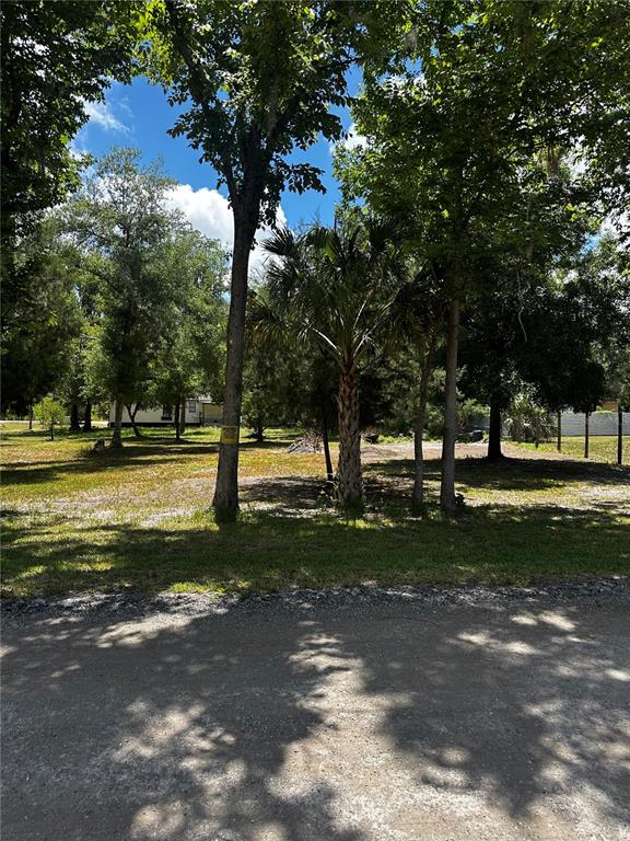 A grassy, tree-filled vacant lot viewed from a gravel road — ESTELLE ST, NEW PORT RICHEY, FL
