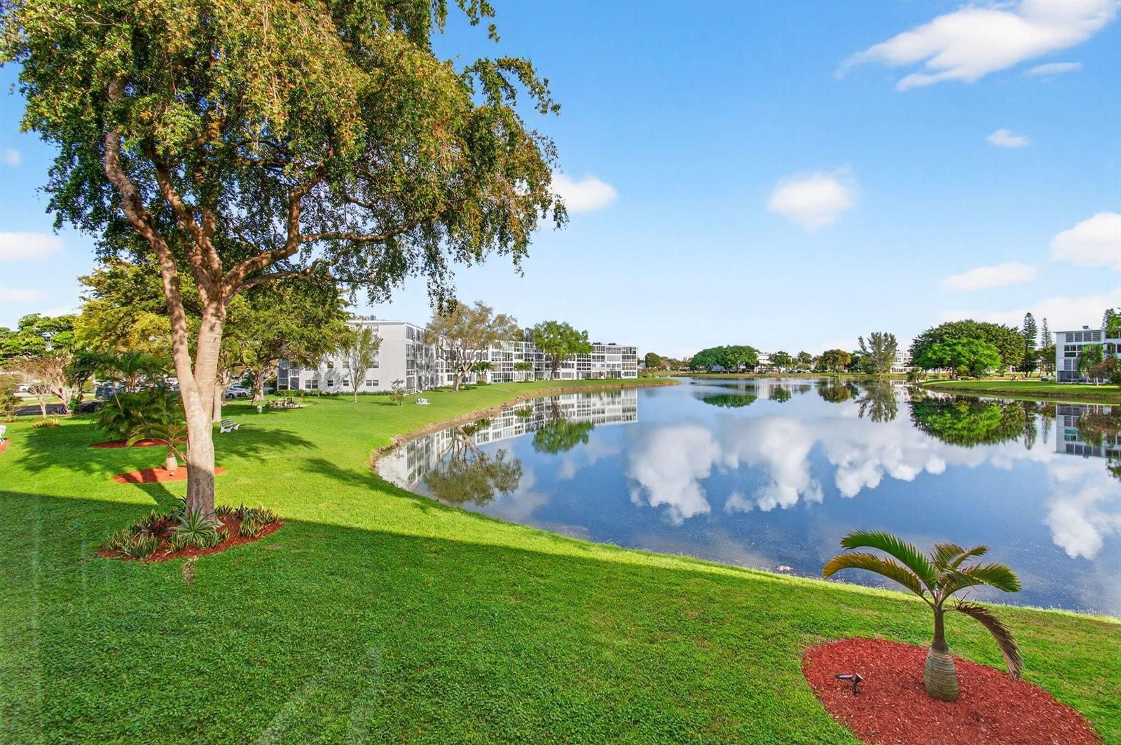 A grassy lawn with trees and a small palm tree overlooks a calm lake — 2073 Cambridge D, Deerfield Beach FL 33442, DEERFIELD BEACH, FL