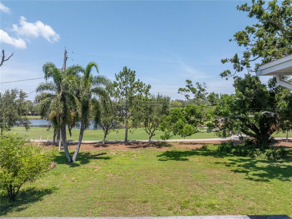 A view of a grassy backyard with palm trees, mature trees, and a pond beyond — 167 ALMEDO WAY NE, ST PETERSBURG, FL