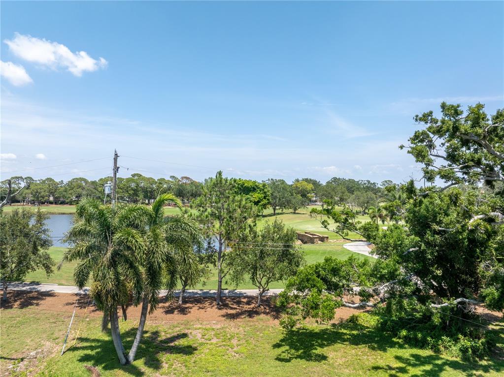 An elevated view of a golf course with a pond, palm trees, and lush greenery — 167 ALMEDO WAY NE, ST PETERSBURG, FL