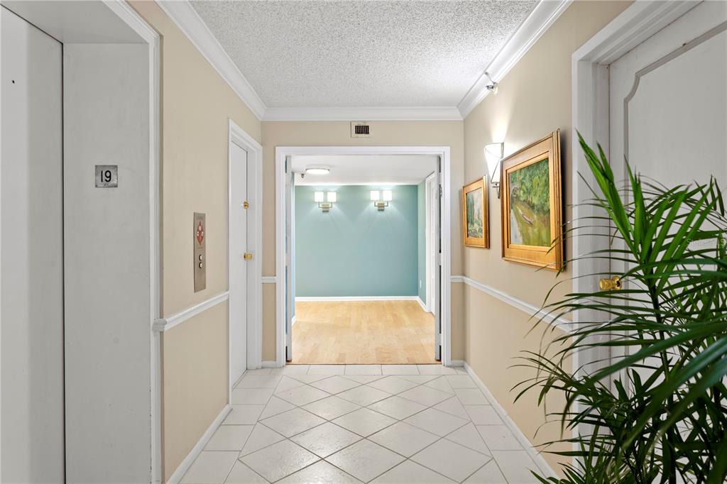 A tiled hallway leads to a doorway opening into a room with light blue walls — 3301 BAYSHORE BOULEVARD UNIT 1904D, TAMPA, FL