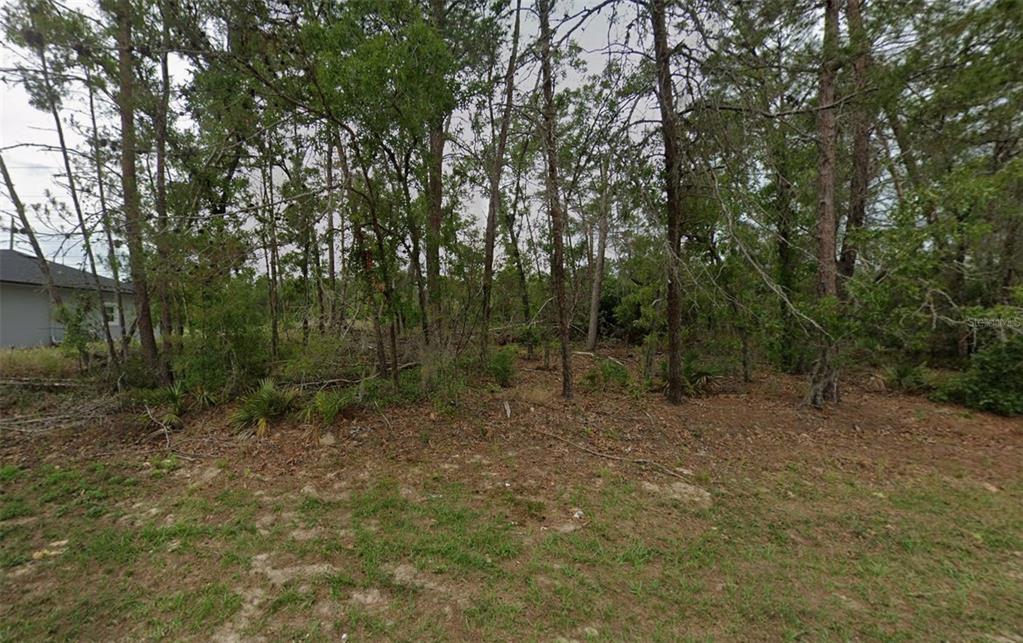 0 SW 50TH CIRCLE, OCALA, FL — photo 2 of 2