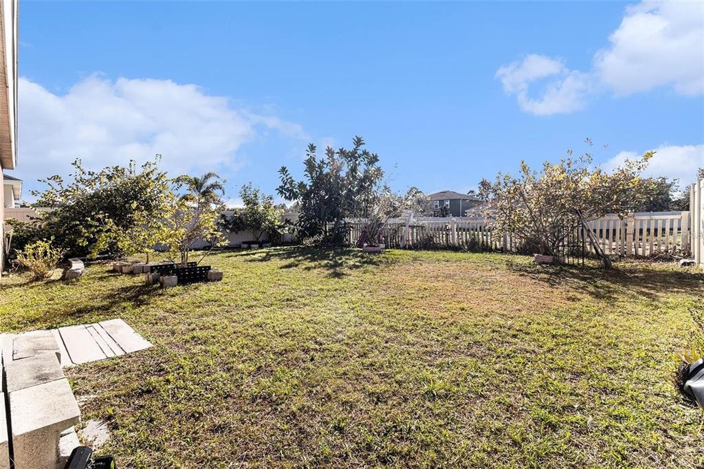 A grassy backyard features several small trees, a white vinyl fence, and concrete pavers — 769 FOREST TRACE CIRCLE, TITUSVILLE, FL