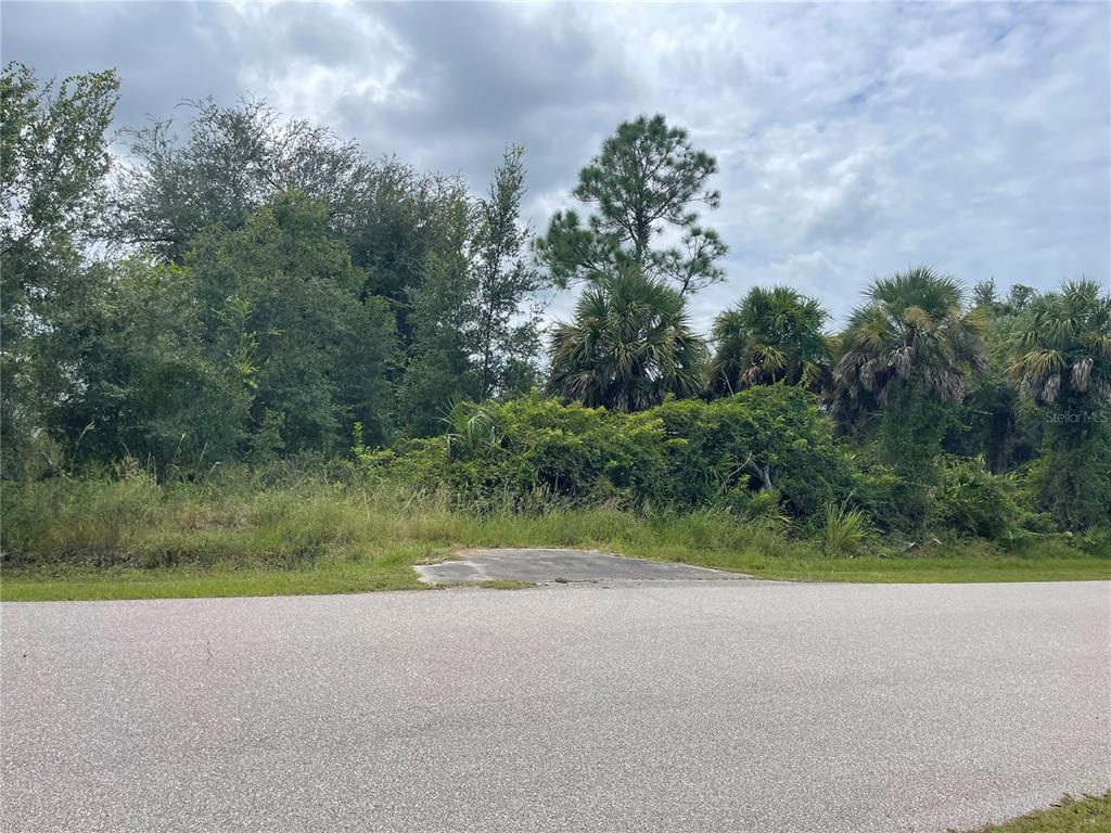 A paved driveway apron leads to a heavily wooded, undeveloped residential lot — 26327 BROOKS ROAD, PUNTA GORDA, FL