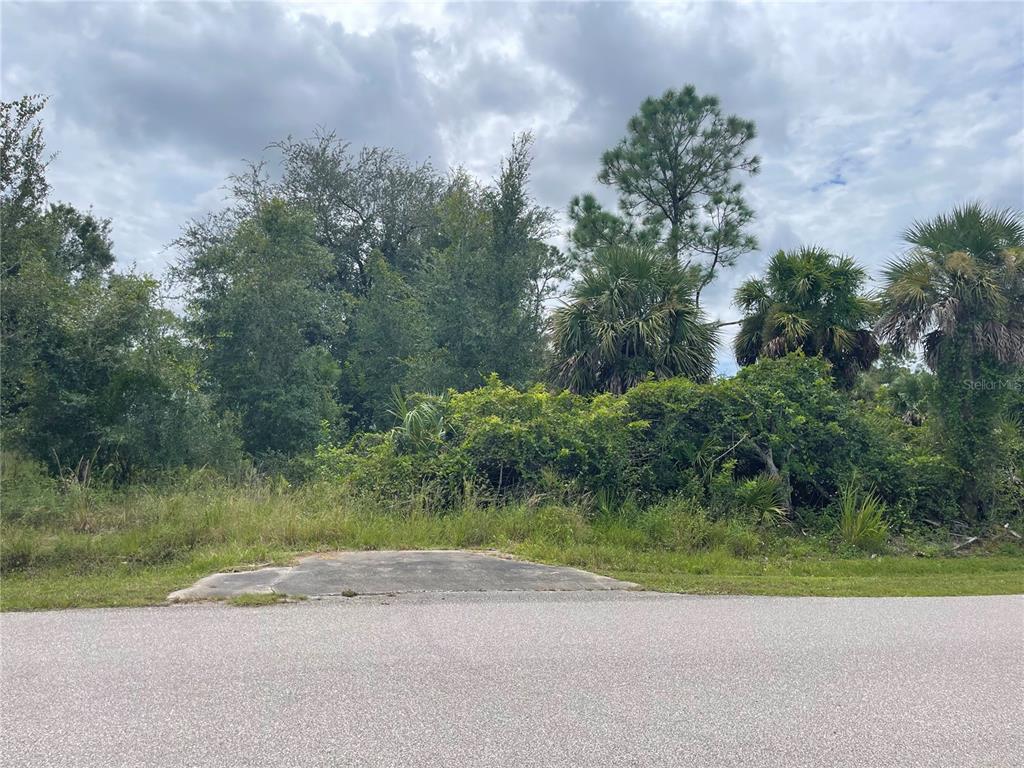A paved driveway apron leads to a wooded, undeveloped lot with dense vegetation and trees — 26327 BROOKS ROAD, PUNTA GORDA, FL
