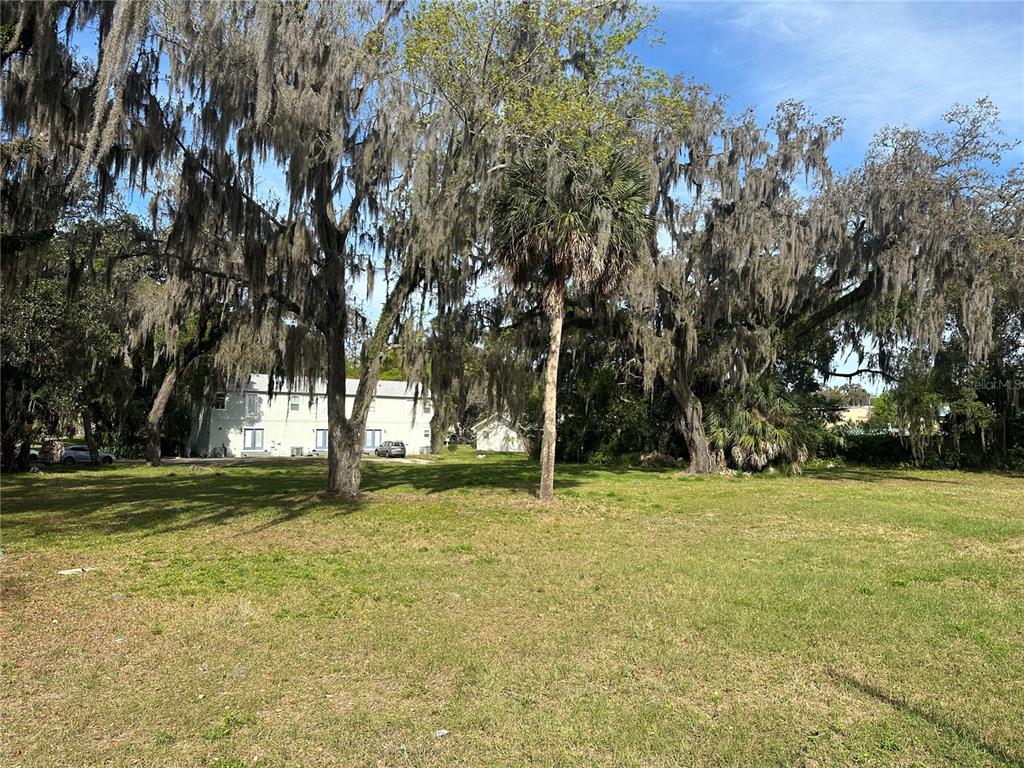 A grassy lot features several large, Spanish moss-covered trees in front of a white building — EUCLID AVENUE, LEESBURG, FL