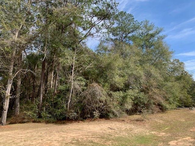 A view of a wooded lot with tall trees and a patch of sandy ground — 167 SPARKLEBERRY BOULEVARD, QUINCY, FL