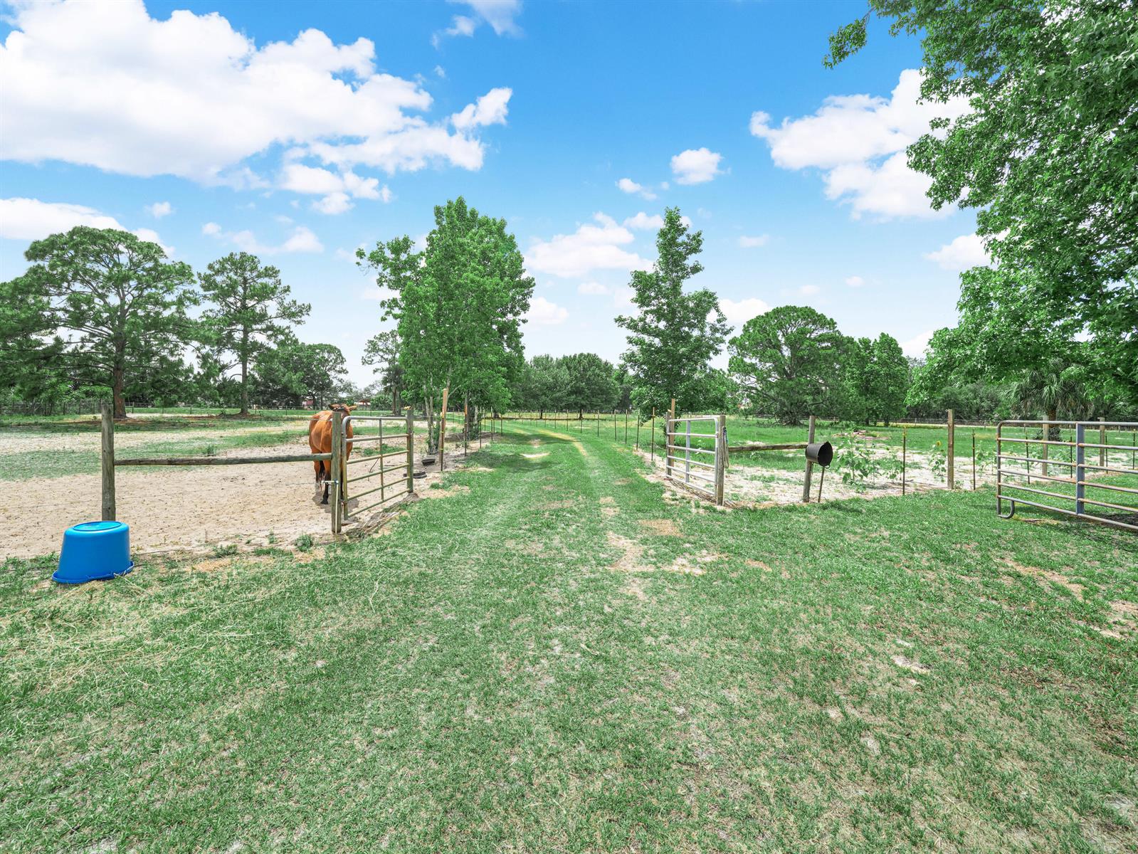 A dirt path leads between two fenced pastures with a horse and a blue bucket — 4002 Everhigh Acres Road, Clewiston FL 33440, CLEWISTON, FL