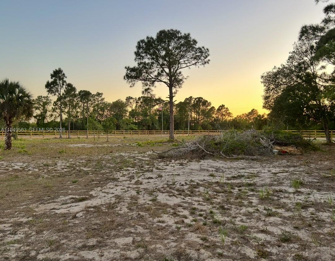 A large, sandy, undeveloped lot features scattered brush and a line of trees at sunset — 845 S WILLOW ST, Clewiston FL 33440, CLEWISTON, FL