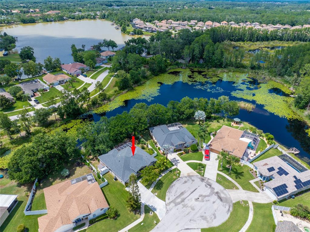 An aerial view shows a residential neighborhood with houses situated along a lake — 21629 SILVER BAY PLACE, LAND O LAKES, FL