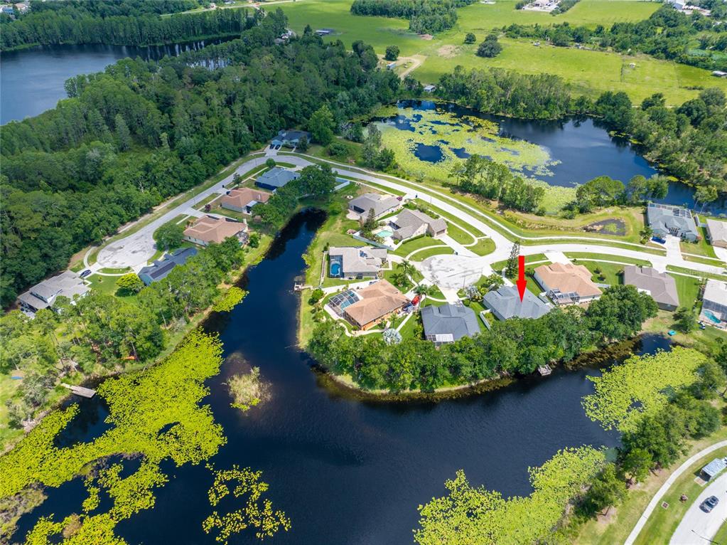An aerial view shows a residential neighborhood with houses situated along a large lake — 21629 SILVER BAY PLACE, LAND O LAKES, FL